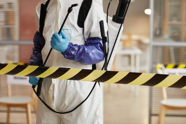 Professional Hoarding Cleanup technician working in Eastport, ME